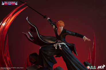 HEX Ichigo Kurosaki